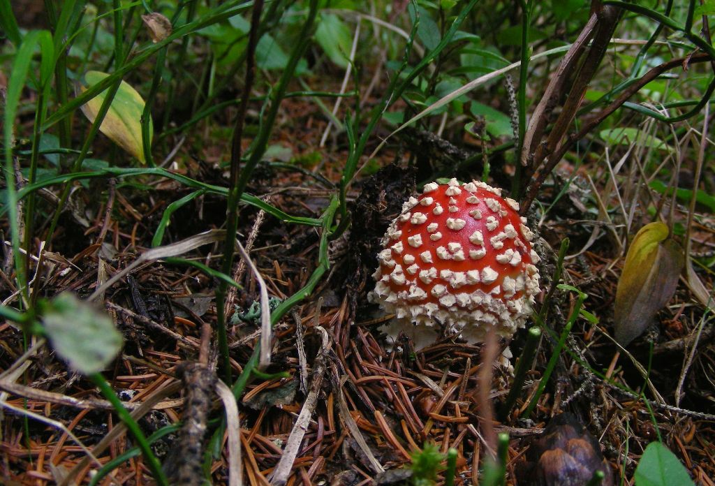 Qualche highlight 2007